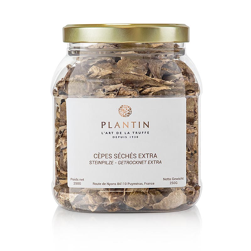 Plantin - Cèpes - Sélection, clairs, 250 g