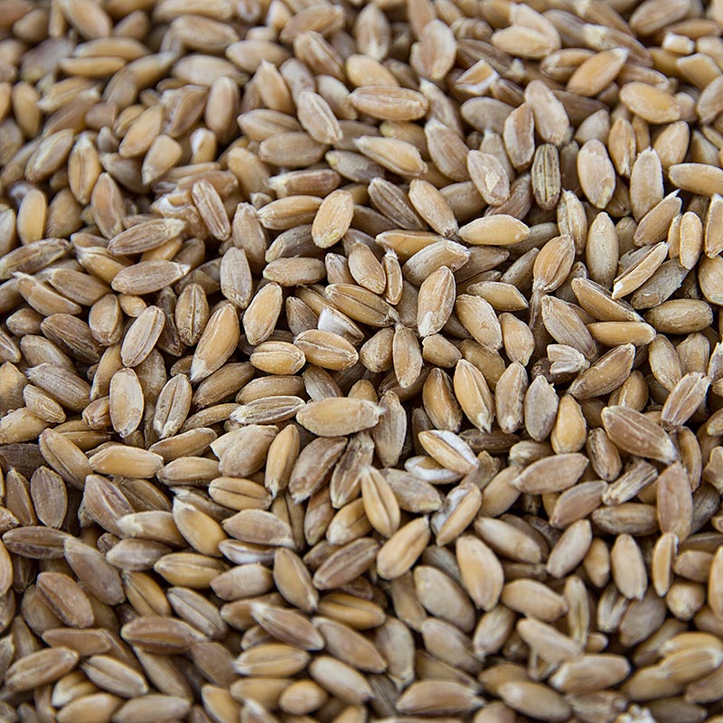 Frumento di farro (a due grani), intero, biologico, 1 kg