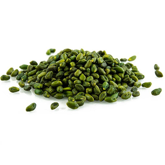 Pistacchi sgusciati, extra verdi, selezione AAA, 1 kg | Riso, Legumi, frutta secca, castagne | thungourmet