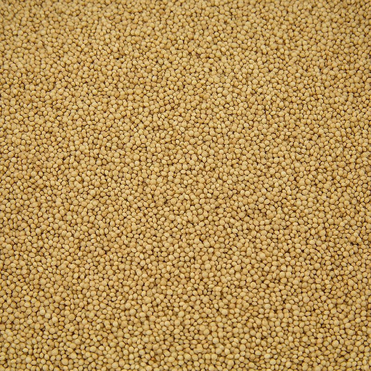 Amaranto, BIO, 1 kg | Farina, cereali, impasti, Miscele per prodotti da forno  thungourmet