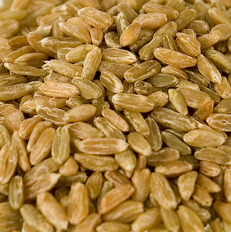 Grünkern, ganz, holzgedarrt, 1 kg