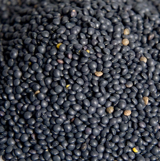 Lenticchie Beluga, nere, biologiche, 1 kg