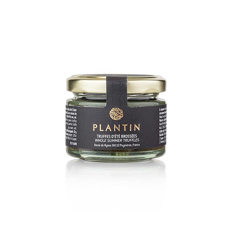 Sommertrüffel, ganze Trüffel, Plantin, 30 g | Trüffel frisch, - Konserven, - Öle, - Produkte | thungourmet