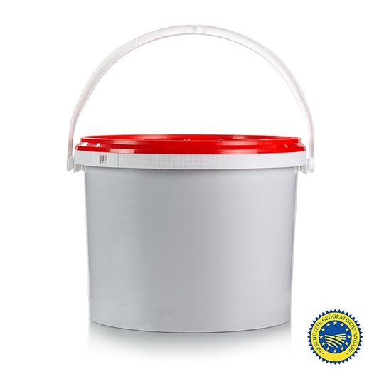 Moutarde  de DüsseldorfMoutarde  L'originale, moyennement forte, IGP, 9,39 l