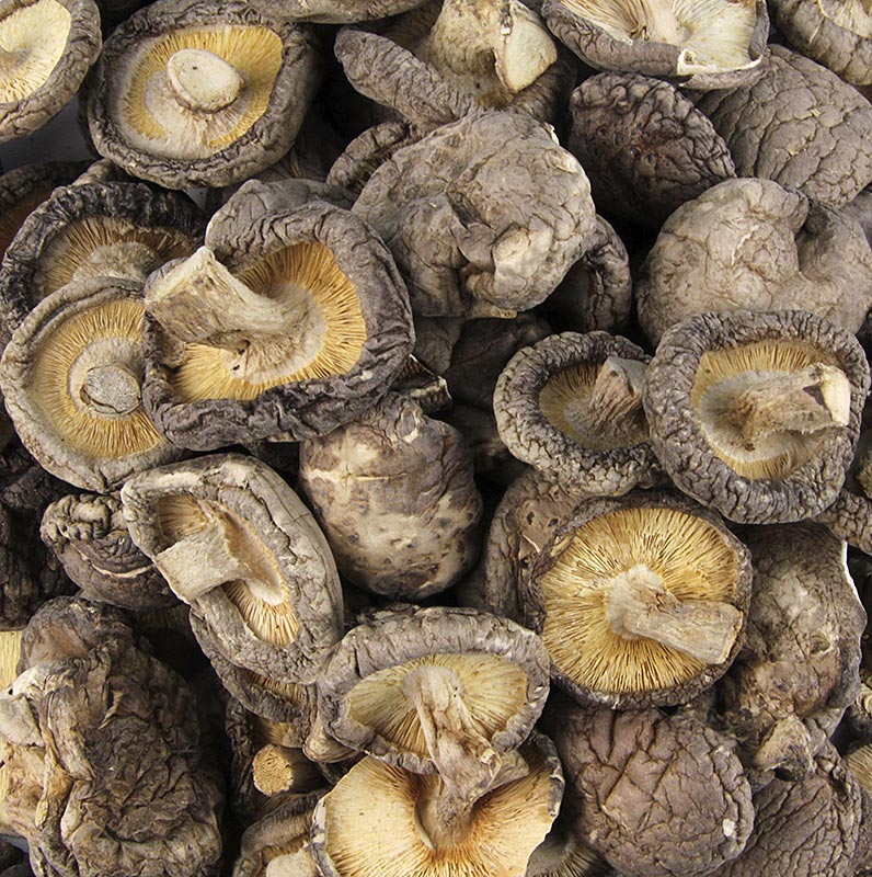 Borde - Shiitake Pilze, Tongu, kleine Kalibrierung ø 3cm, Zhong-Hon-Gu, 1 kg