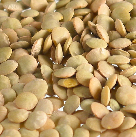 SABAROT WASSNER - Lenticchie, bionde, medie, lenticchie piatte, Francia, 5 kg