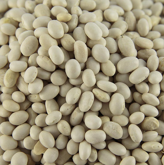 SABAROT WASSNER - Fagioli, Cocobeans, bianchi e molto piccoli, essiccati, 5 kg