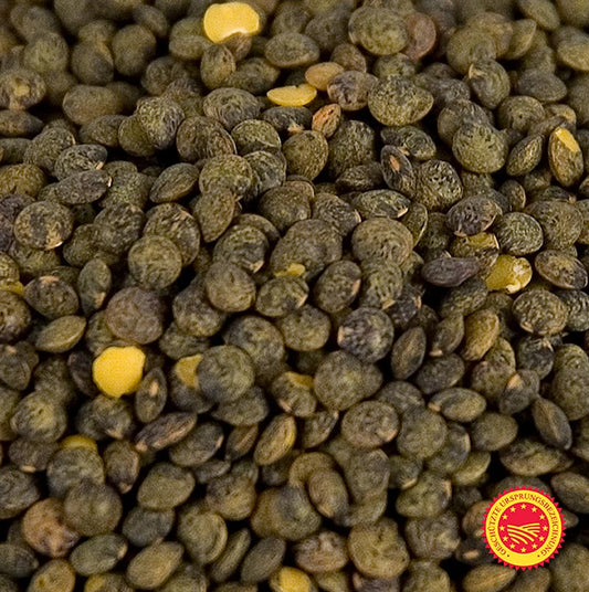 Linsen, grün - Lentilles du Puy, traditioneller Anbau, g.U., Frankreich, 5 kg | Reis, Hülsenfrüchte, Nüsse, Maronen | thungourmet