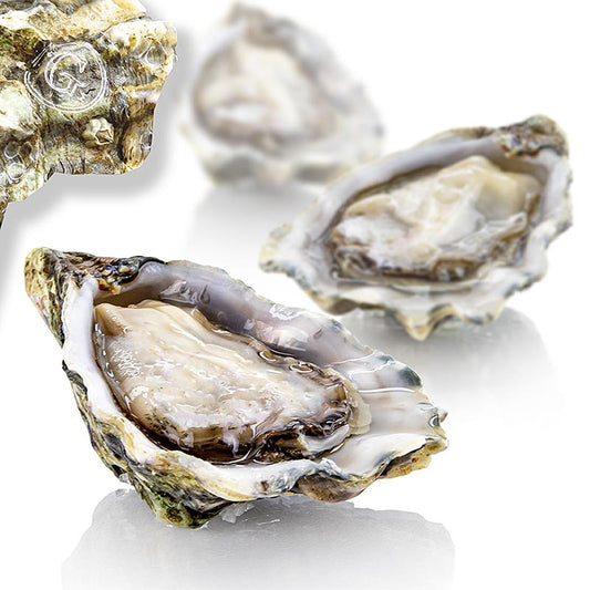 Ostriche fresche di grandi dimensioni - Gillardeau G2 (Crassostrea gigas), da circa 115 g ciascuna, Special de Claires, 24 pezzi