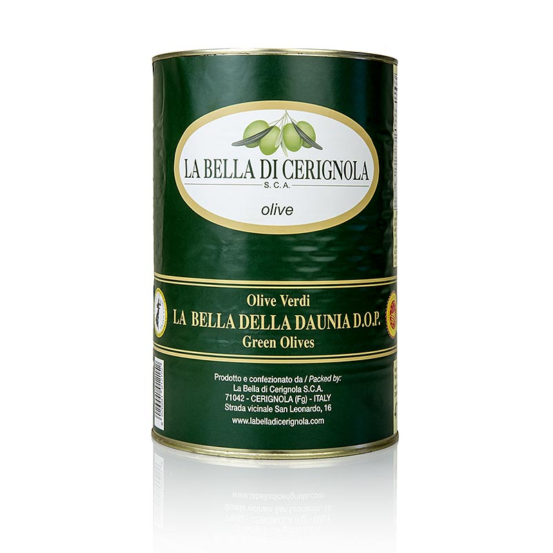 Olives vertes géantes, avec noyau, "Bella di Cerignola", en saumure, 4,25 kg