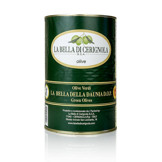 Géants verts - Olives, avec noyau, « Bella di Cerignola », en saumure, 4,25 kg | Conserves, confitures, antipasti | thungourmet