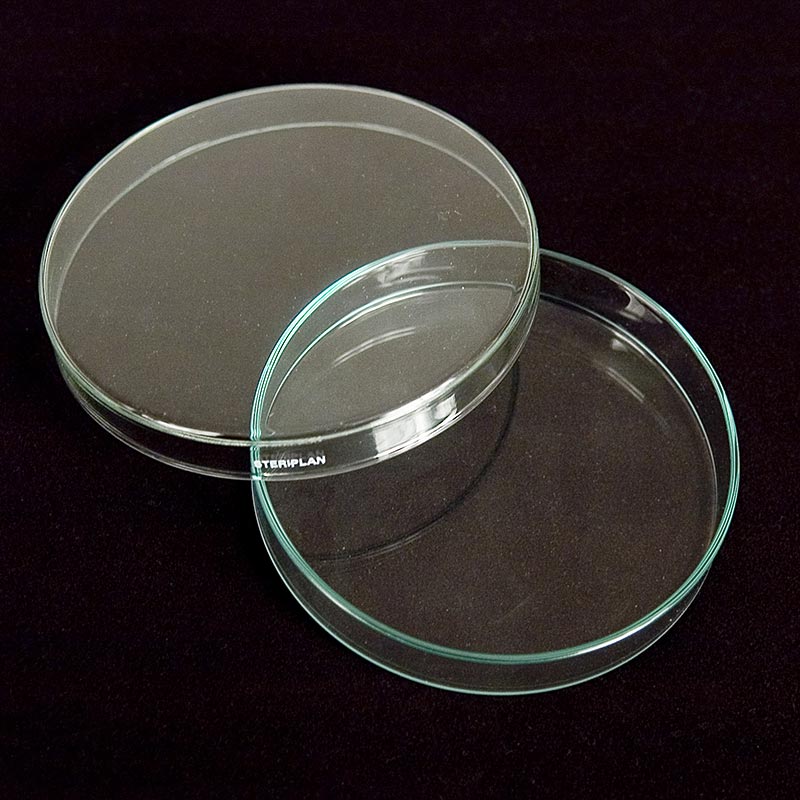 Petrischalen aus Glas, ø 12cm mit Deckel, 1 St