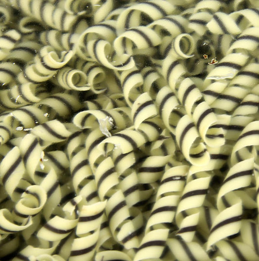 Dobla - Décoration « Tornado » - forme en boucle, chocolat blanc/noir, env. 10 x 62 mm, 800 g