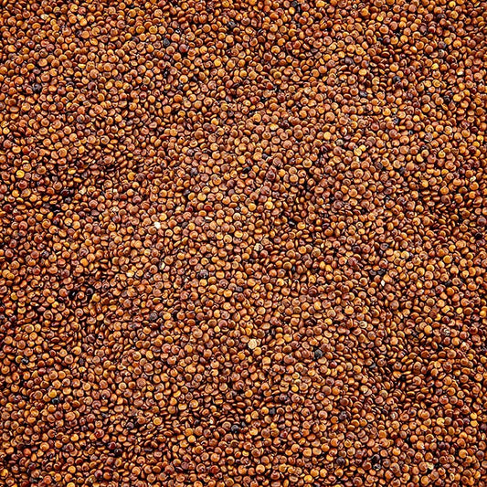 Quinoa, ganz, rot, das Wunderkorn der Inkas, BIO, 1 kg | Reis, Hülsenfrüchte, Nüsse, Maronen | thungourmet