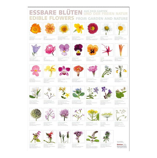 Port Culinaire - Küchenposter Eßbare Blüten (59,4 x 84cm), 1 St