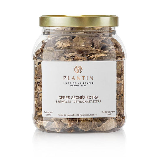 Plantin - Cèpes - Sélection, clairs, 250 g