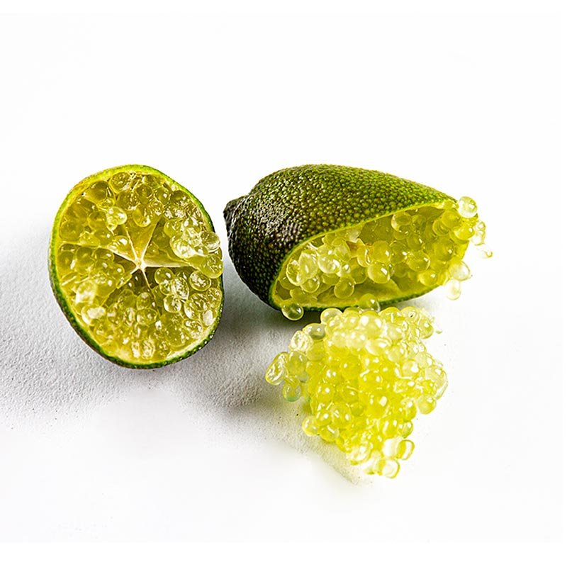 Finger - Limes / Caviale di lime, fresco, 1 kg  Prodotti a base di frutta, puree, verdure e germogli | thungourmet
