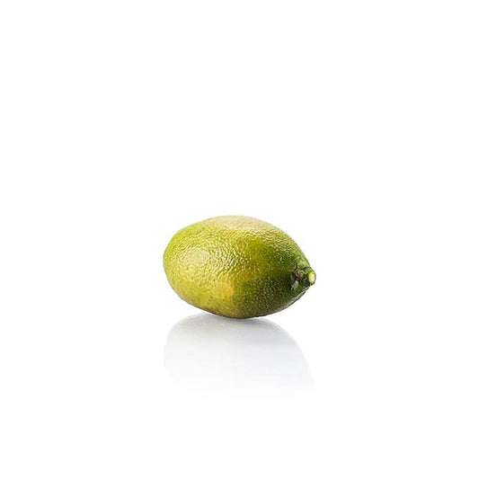 Finger - Limes / Limettenkaviar, frisch, 1 kg | Fruchtprodukte, Pürees, Gemüse & Sprossen | thungourmet