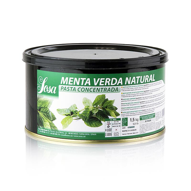 Sosa Paste - Minz, grün, aromatisiert, 1,5 kg | Molekulares Kochen | thungourmet