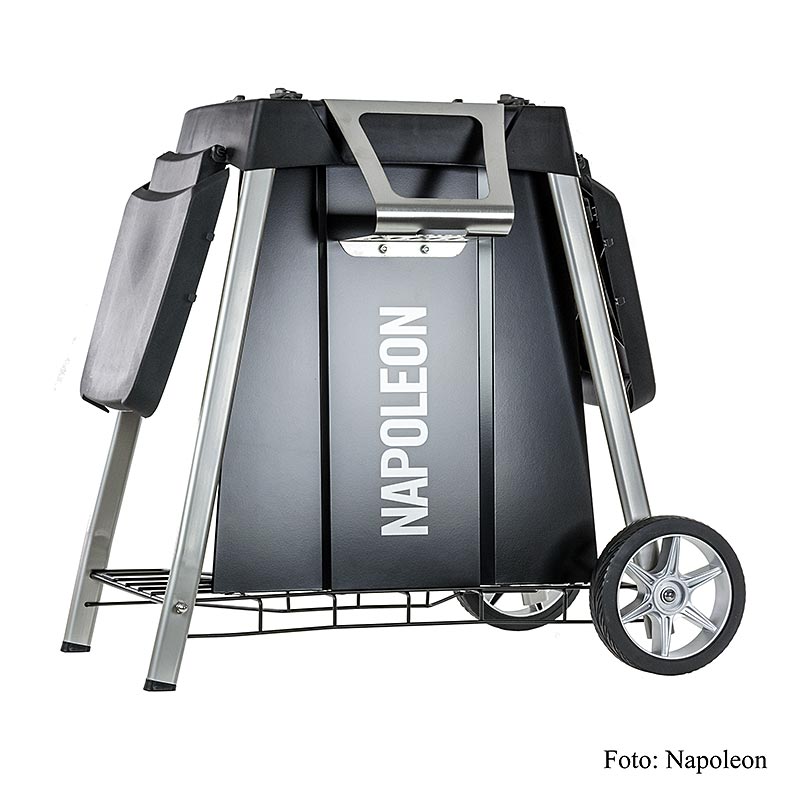 Napoleon Grillzubehör - Gestell für TRAVELQ PRO 285, rollbar, Seitenablagen, 1 St | Non Food / Hardware / Grillzubehör | thungourmet