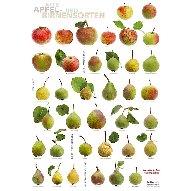 Port Culinaire - Poster cuisine Pommes & Poires (59,4 x 84cm), 1 pc