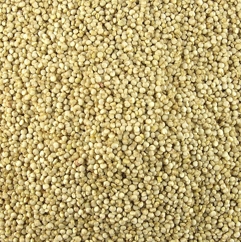 Quinoa - Das Wunderkorn der Inkas, weiß, 1 kg | Mehl, Getreide, Teige, Backmischungen | thungourmet