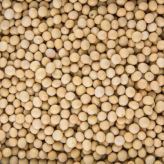 Bohnen, Soja Bohnen, getrocknet, BIO, 1 kg