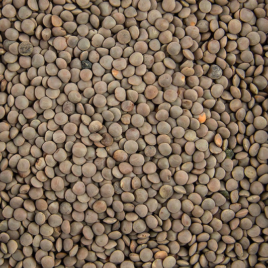 Lenticchie, marroni, piccole, 5 kg