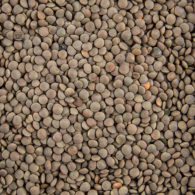 Lenticchie, marroni, piccole, 1 kg