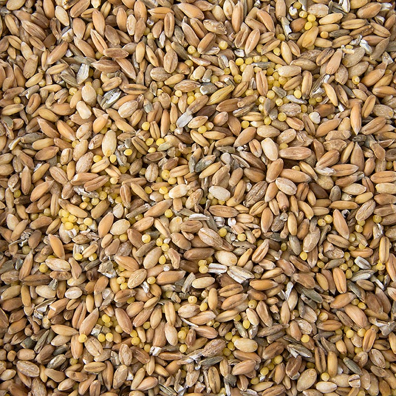 Miscela di 6 cereali (grano, segale, farro, avena, miglio, orzo), 1 kg