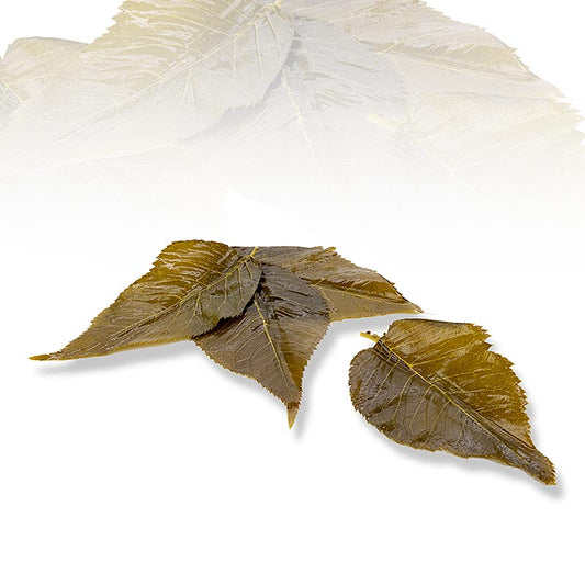 Sakura feuilles de cerisier, 50 feuilles