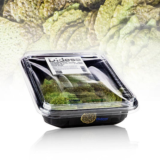 Grand Décor Croustillant à la menthe, sucré, Didess, 500 g, 125 pcs