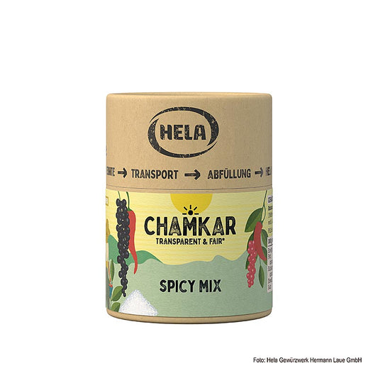 HELA Chamkar - Spicy Mix, Sel épicé, 115 g