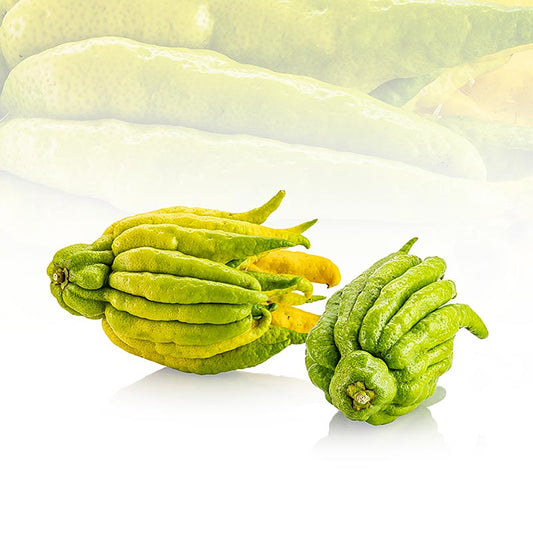 Mano di Buddha, limone candito (limone essiccato), fresco, circa 450 g, 1 pezzo | Prodotti a base di frutta, puree, verdure e germogli | thungourmet