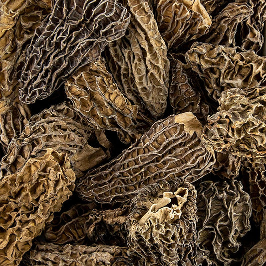 Spitzmorchel - Köpfe, Jumbo, getrocknet, 400 g | Morcheln, Steinpilze, Trockenpilze | thungourmet