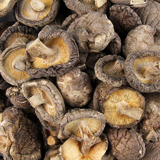 Champignons shiitake séchés (gros calibre, ø 6-4 cm), Dragon Boat, 3 kg
