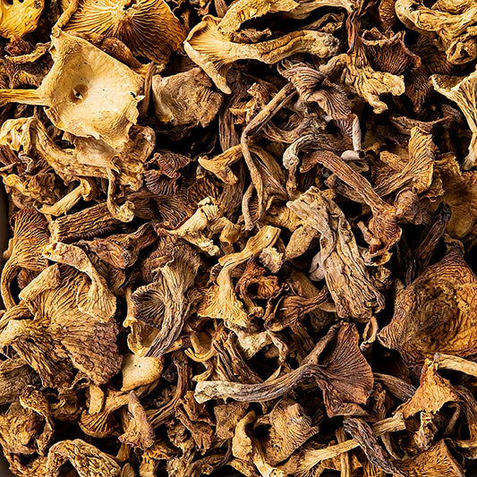 Chanterelles, séchées, Plantin, 1 kg