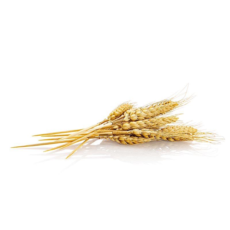 Einweg Weizenähren Spiess (Naturprodukt), 20cm, 50 St | Non Food / Hardware / Grillzubehör | thungourmet