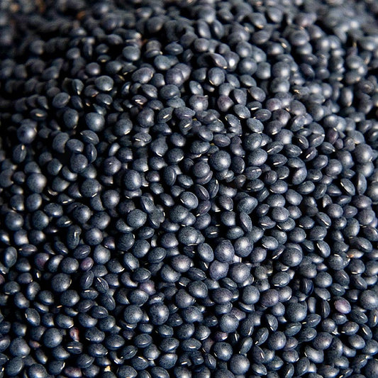 Lenticchie Beluga, nere, 5 kg