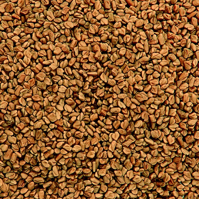 Bockshornkleesamen (Fenugreek Methi Seeds) (vor Gebrauch rösten!), 1 kg