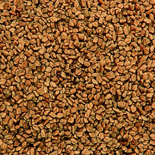 Bockshornkleesamen (Fenugreek Methi Seeds) (vor Gebrauch rösten!), 1 kg