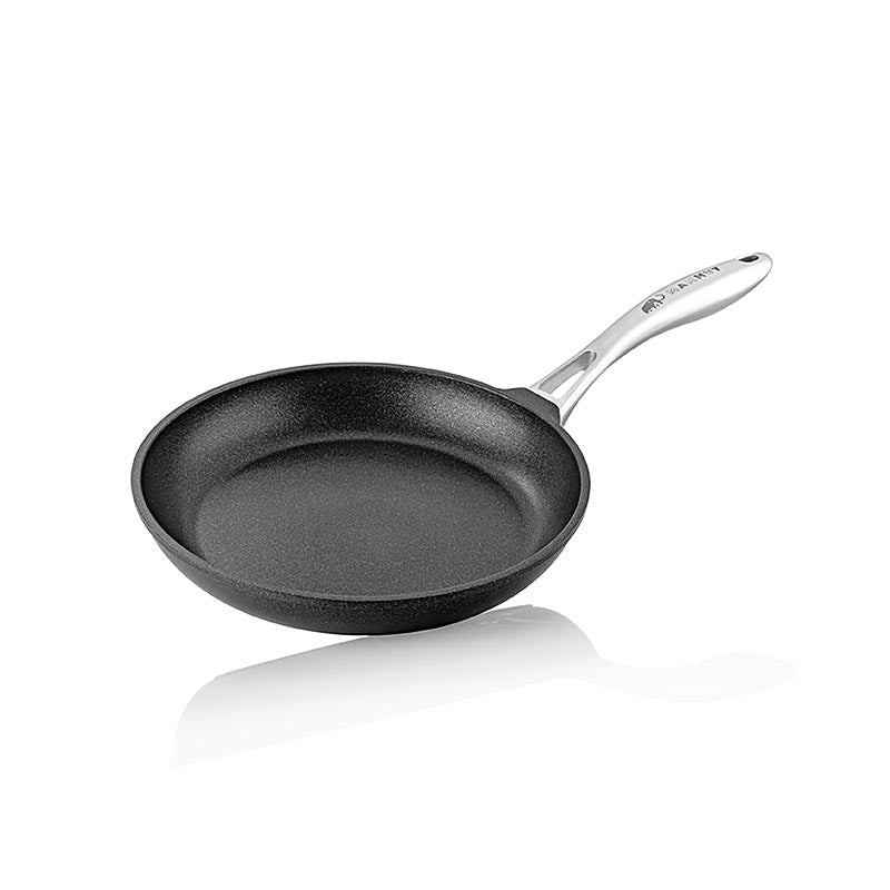Padella per induzione MAMMUT, manico in acciaio inox, Ø 24 cm, h 5 cm, ghisa AMT, 1 pz.