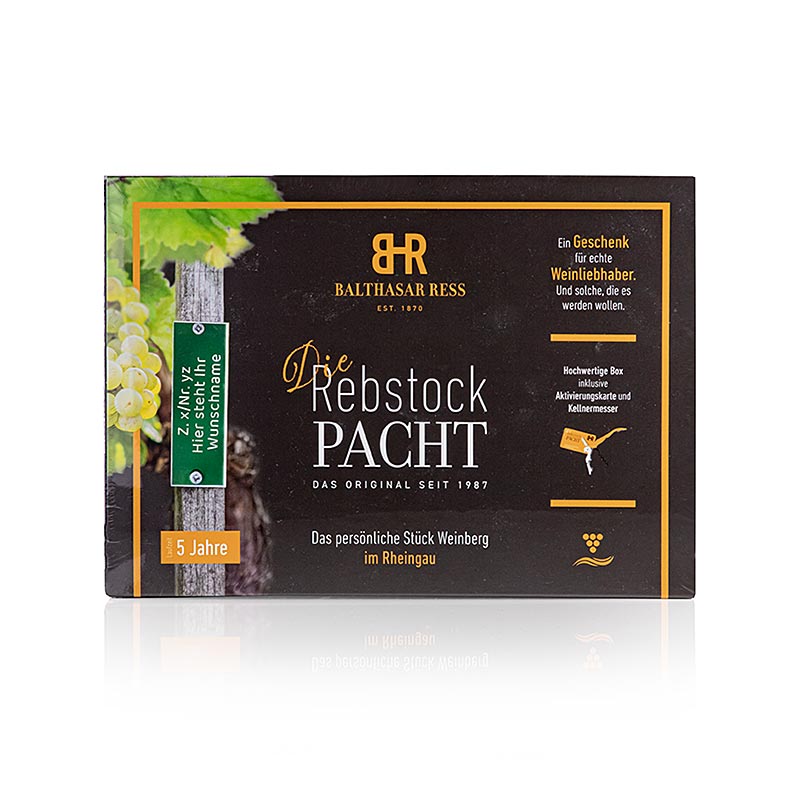 Rebstockpacht "Rheingau" in der Box, 5 Jahre Laufzeit, Balthasar Ress, 1 St