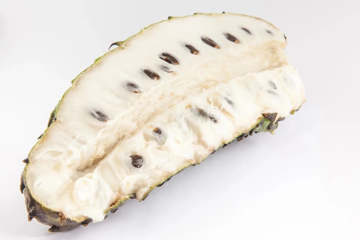 Graviola, Guanábana Stachelannone Fruchtpüree pur, TK, 12KG | Früchte, Frucht - Pürees, Frucht - Produkte | thungourmet